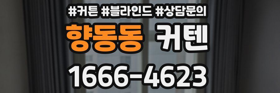 향동동 커텐