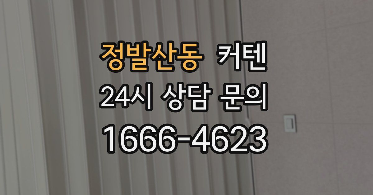 정발산동 커텐