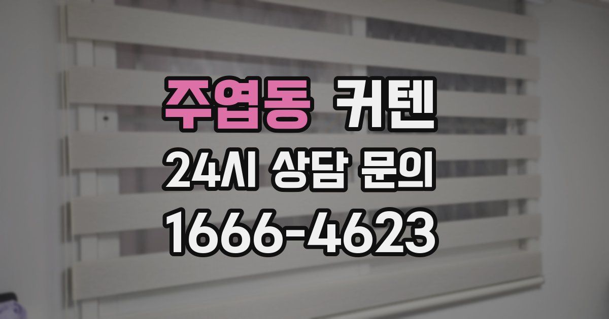 주엽동 커텐