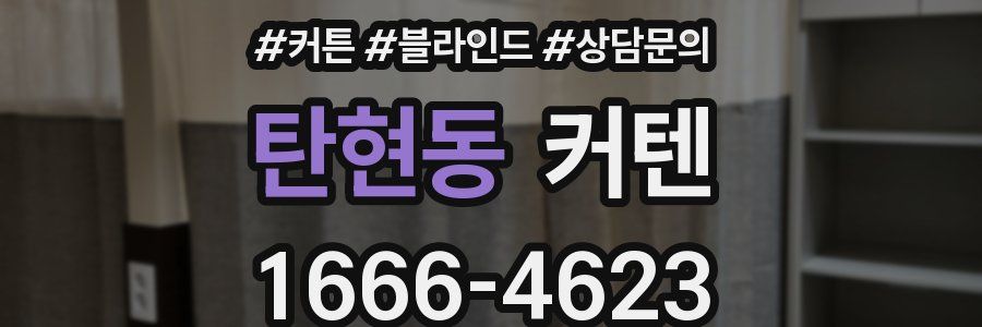 탄현동 커텐