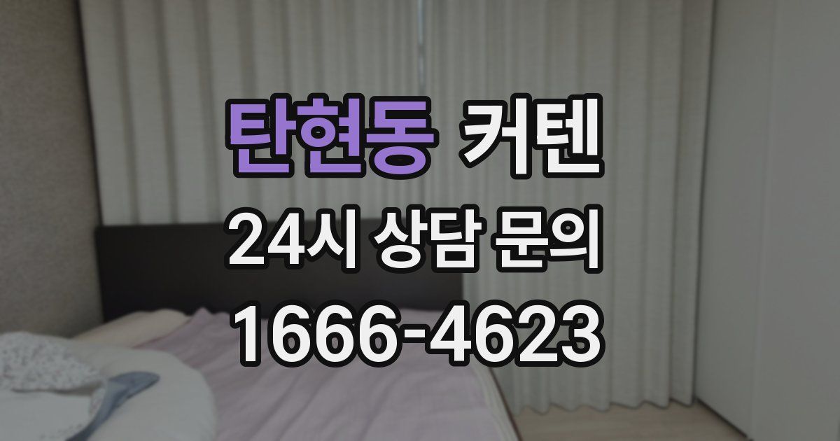 탄현동 커텐