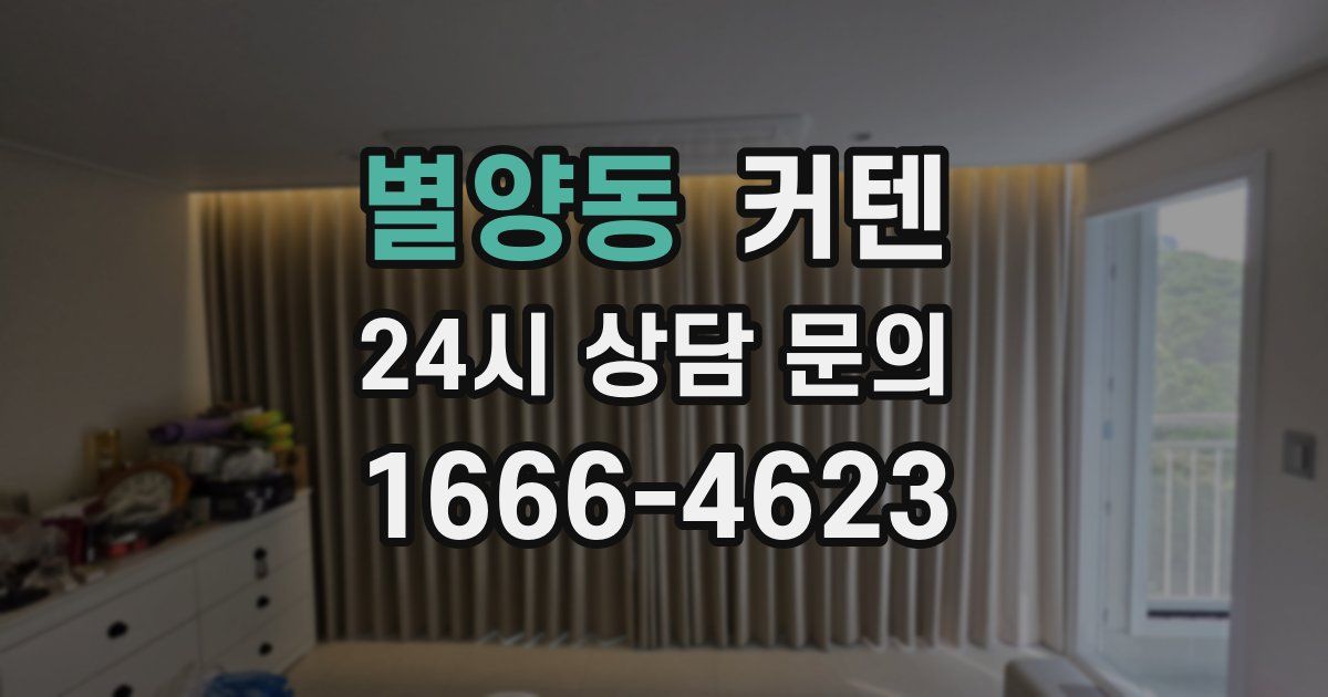 별양동 커텐
