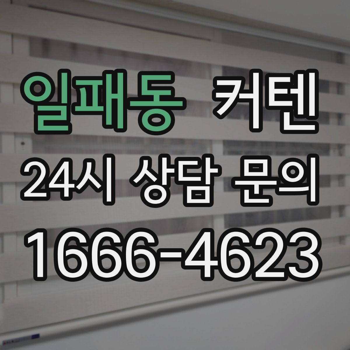 일패동 커텐