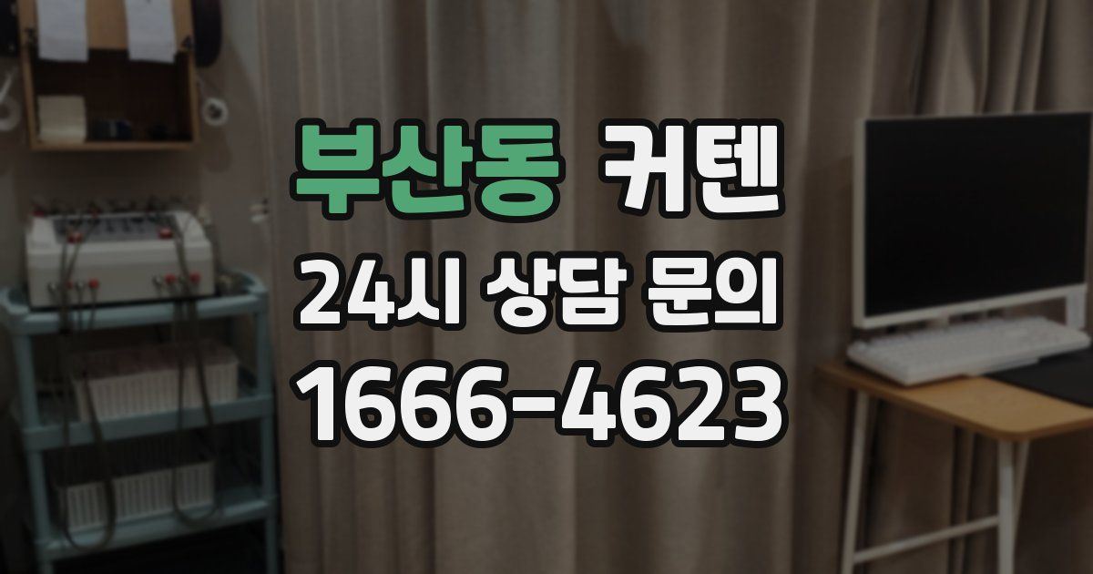 부산동 커텐