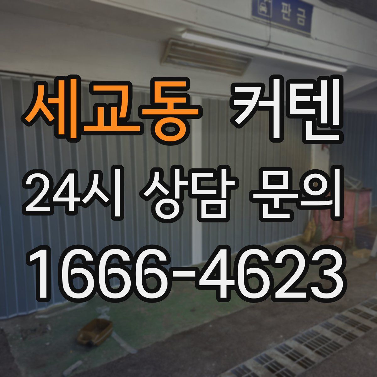 세교동 커텐