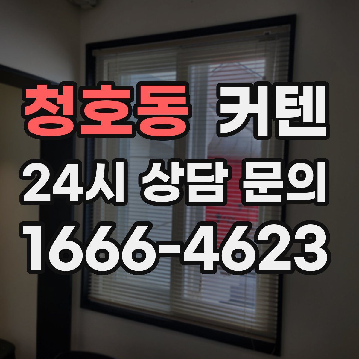 청호동 커텐