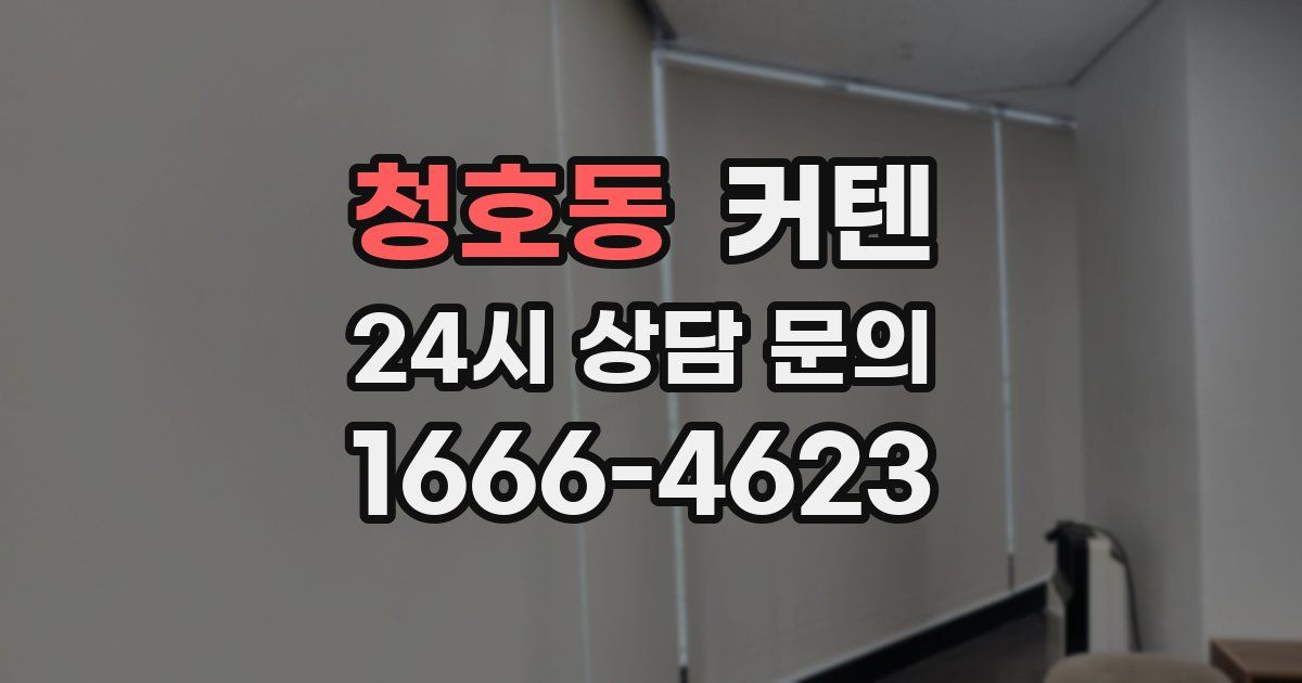 청호동 커텐