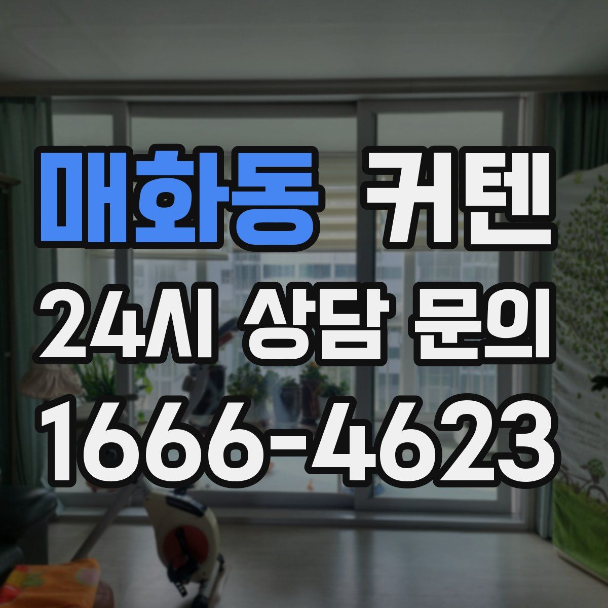 매화동 커텐
