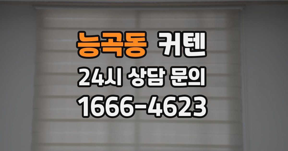 능곡동 커텐