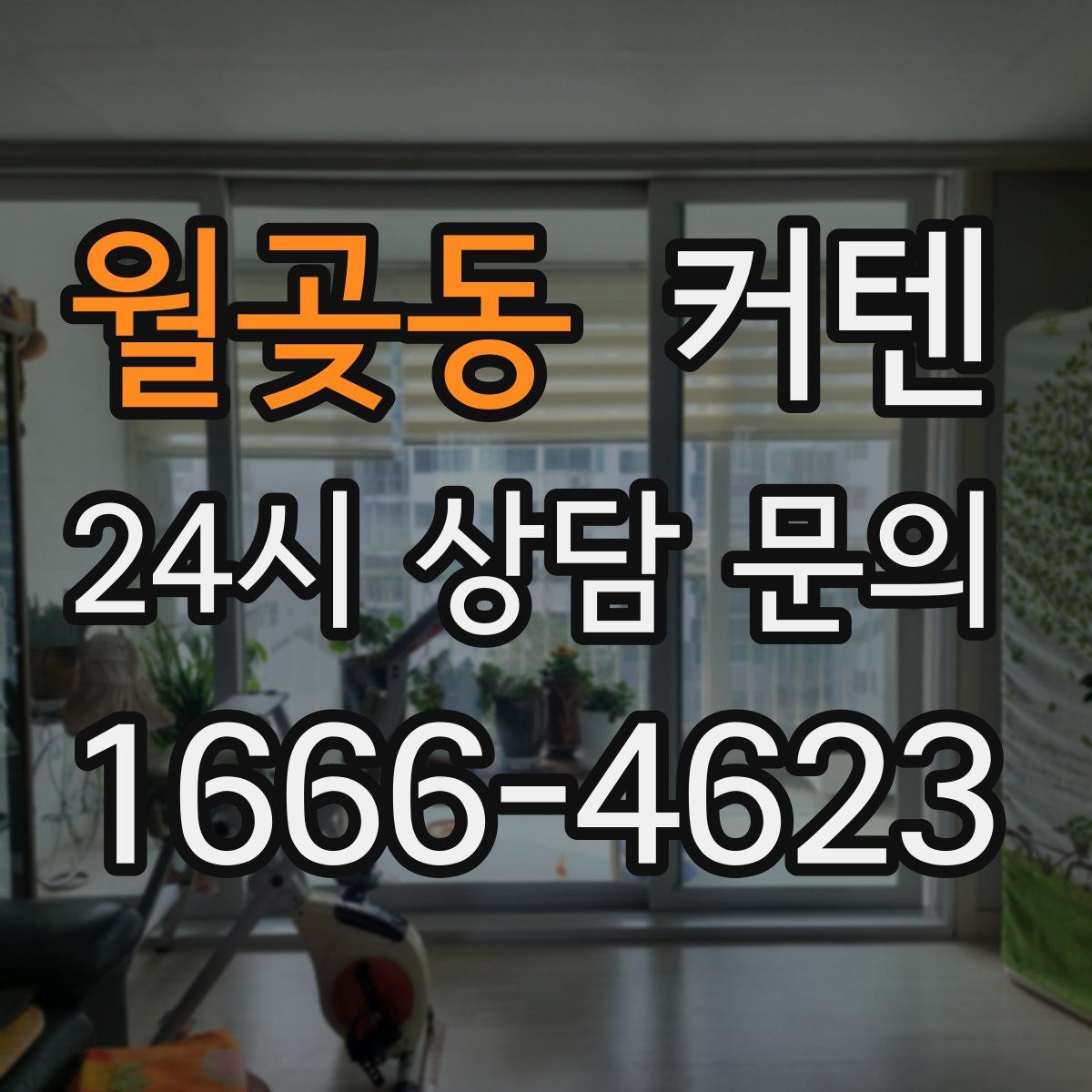월곶동 커텐