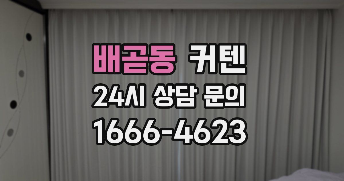 배곧동 커텐