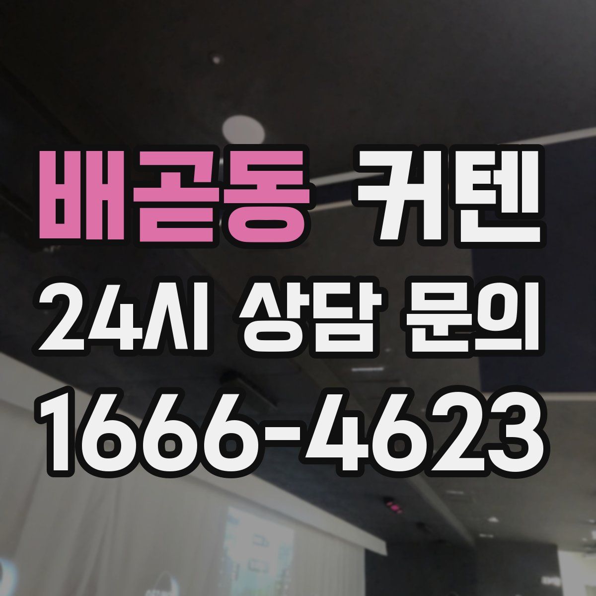 배곧동 커텐