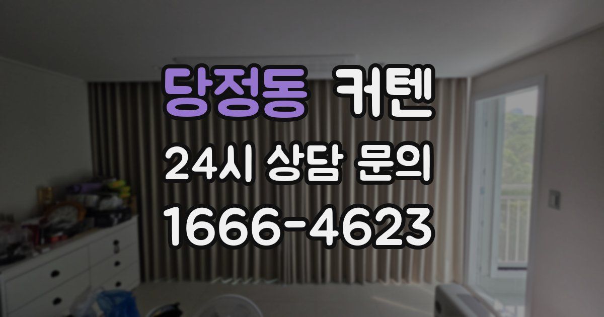 당정동 커텐
