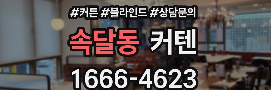속달동 커텐