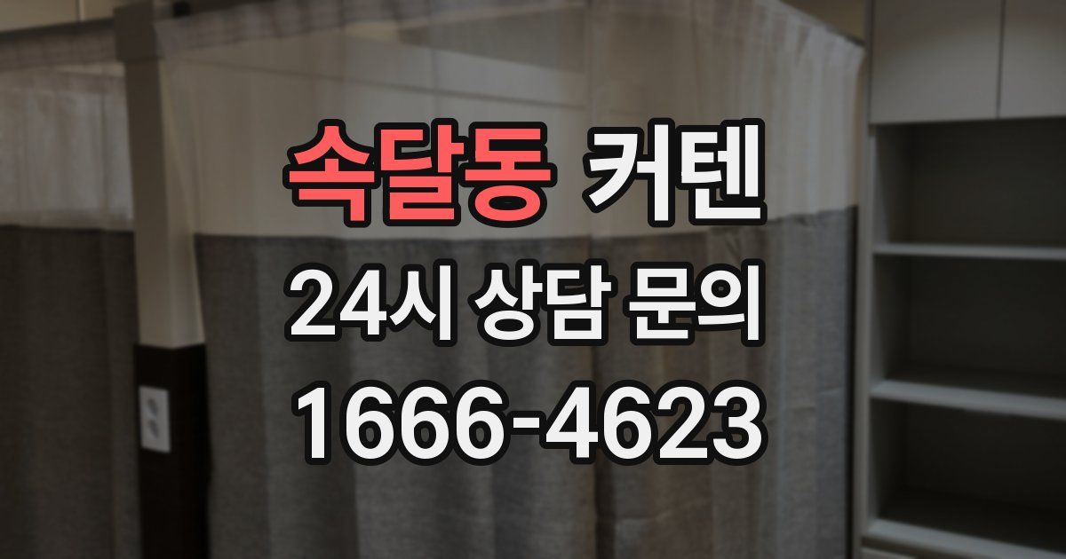속달동 커텐