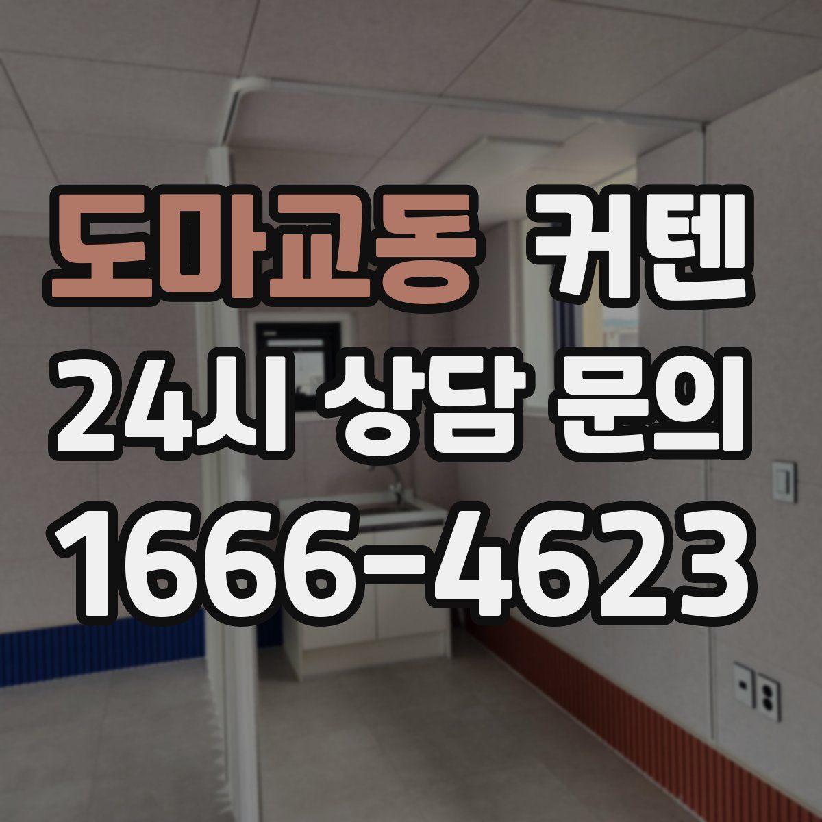 도마교동 커텐
