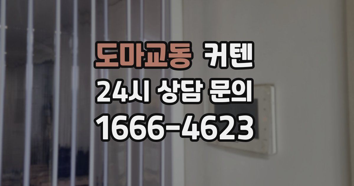 도마교동 커텐