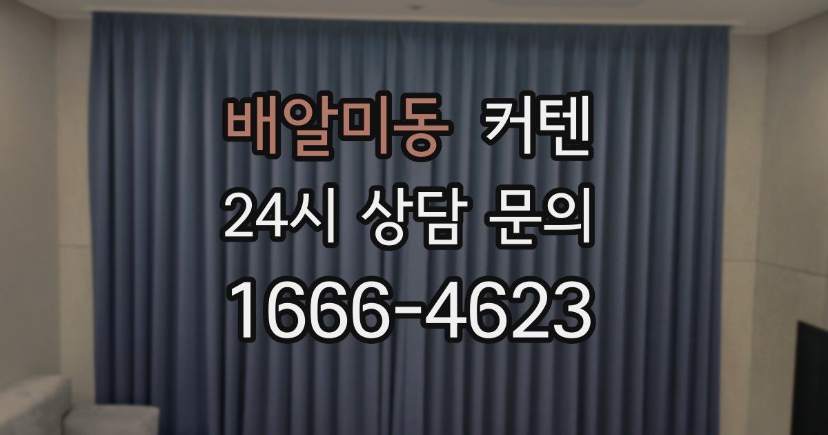 배알미동 커텐