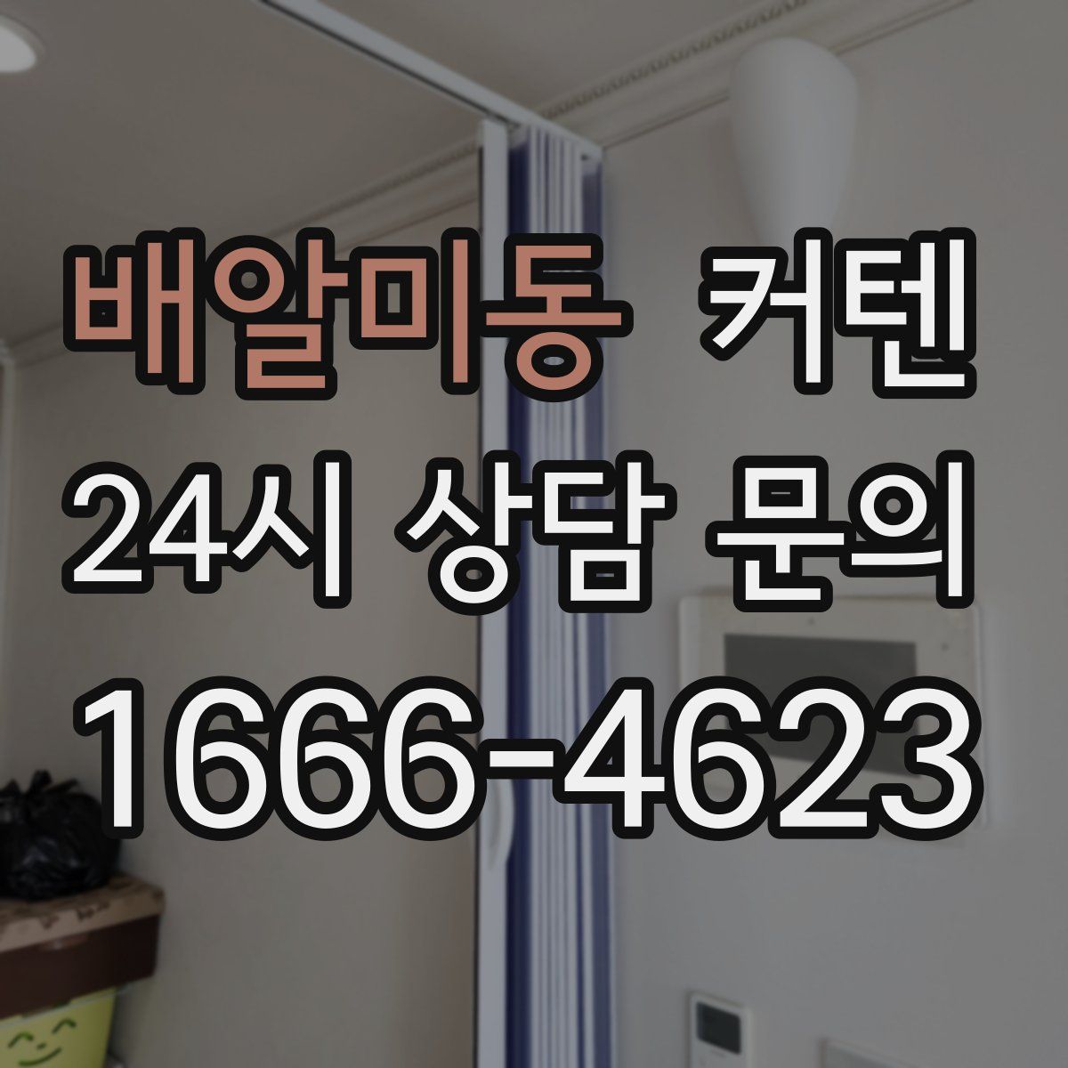 배알미동 커텐