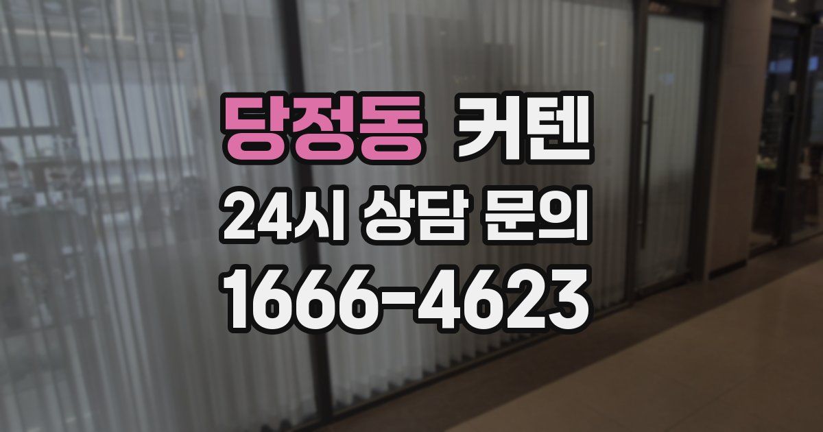 당정동 커텐