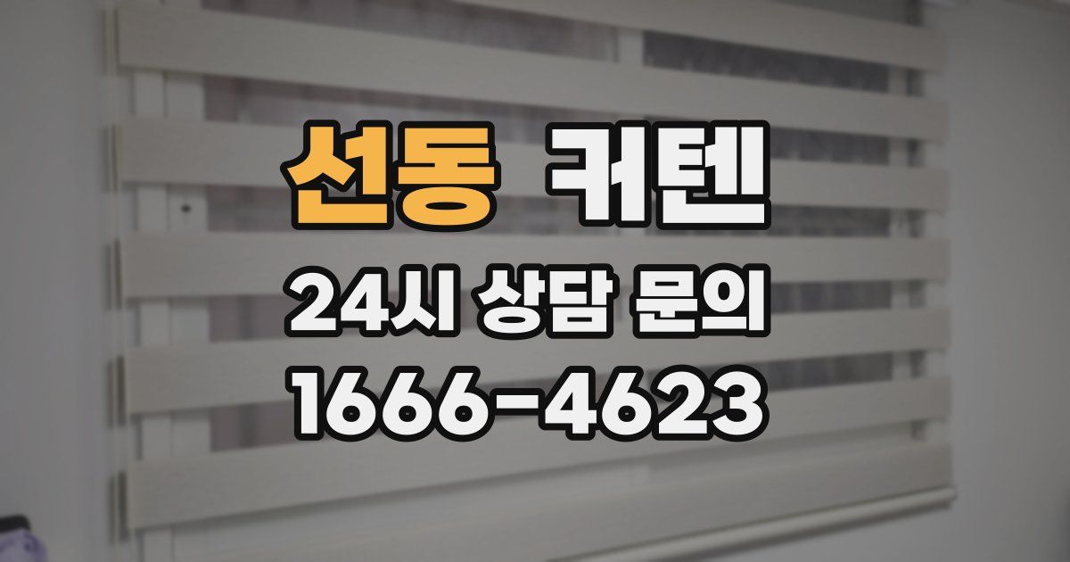 선동 커텐