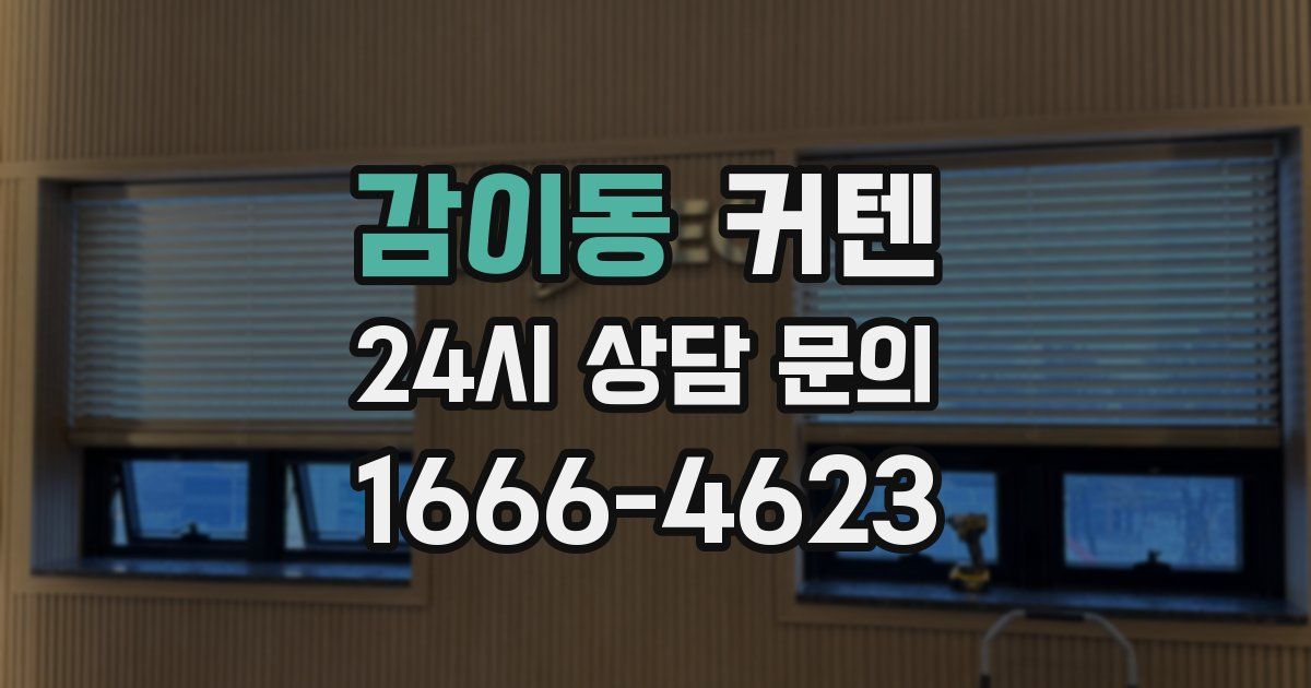 감이동 커텐