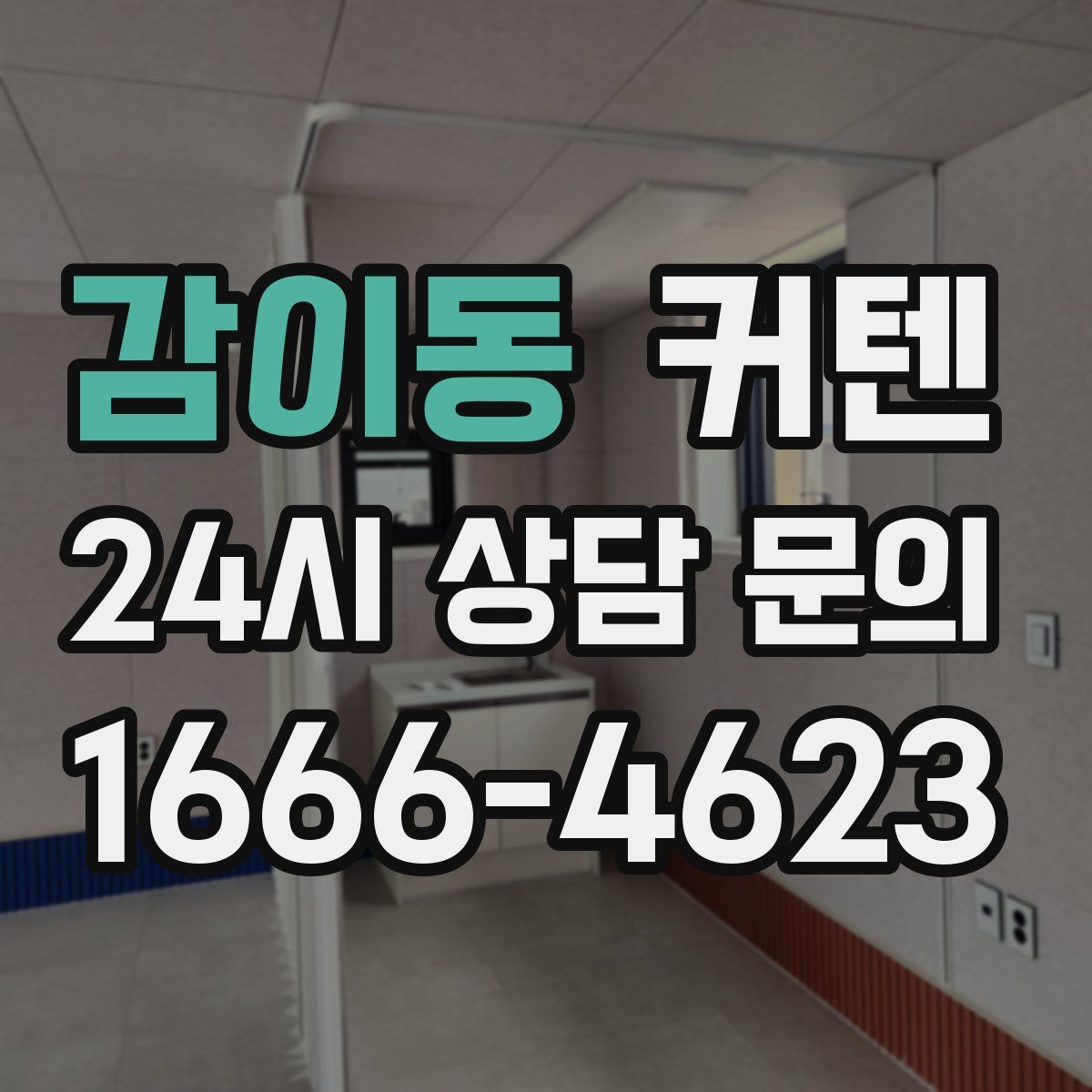 감이동 커텐