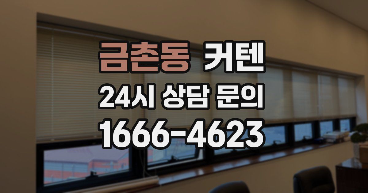 금촌동 커텐