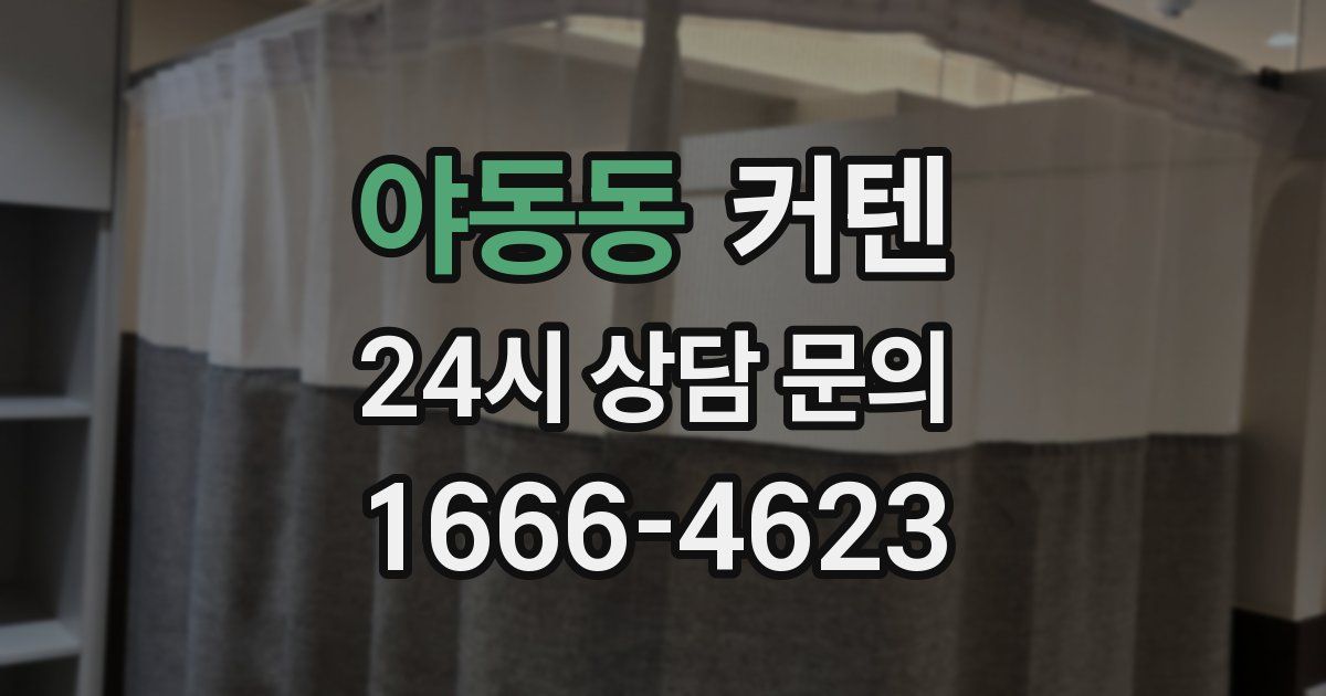 야동동 커텐