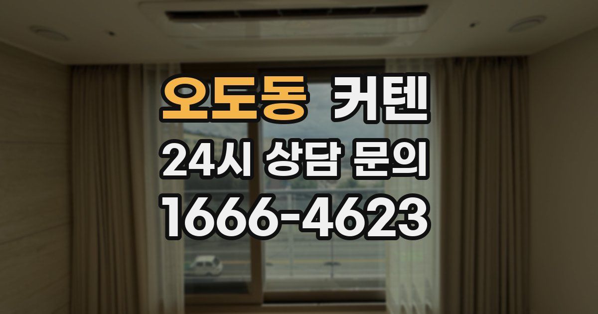 오도동 커텐