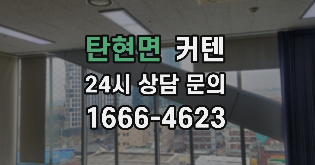 탄현면 커텐