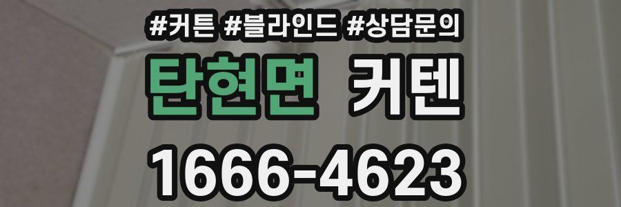 탄현면 커텐