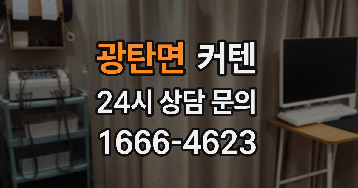 광탄면 커텐
