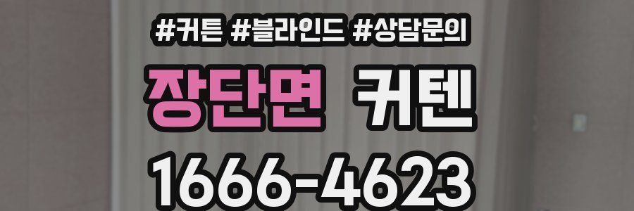 장단면 커텐