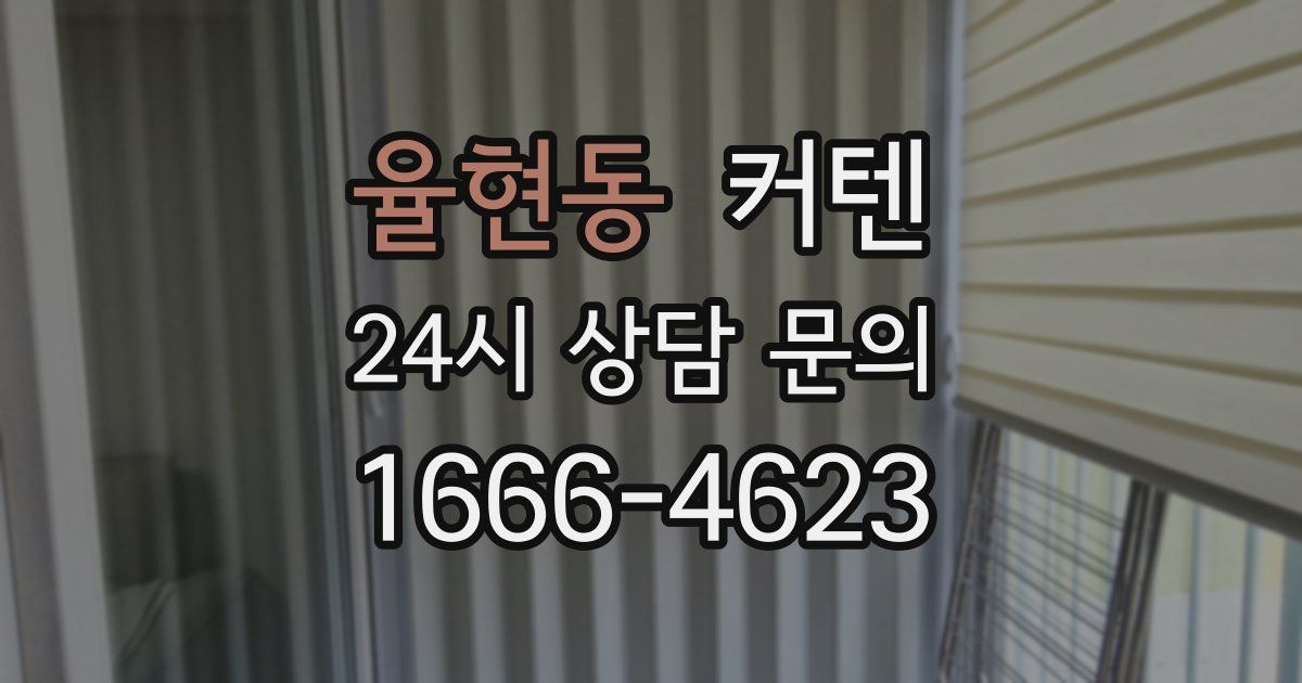 율현동 커텐