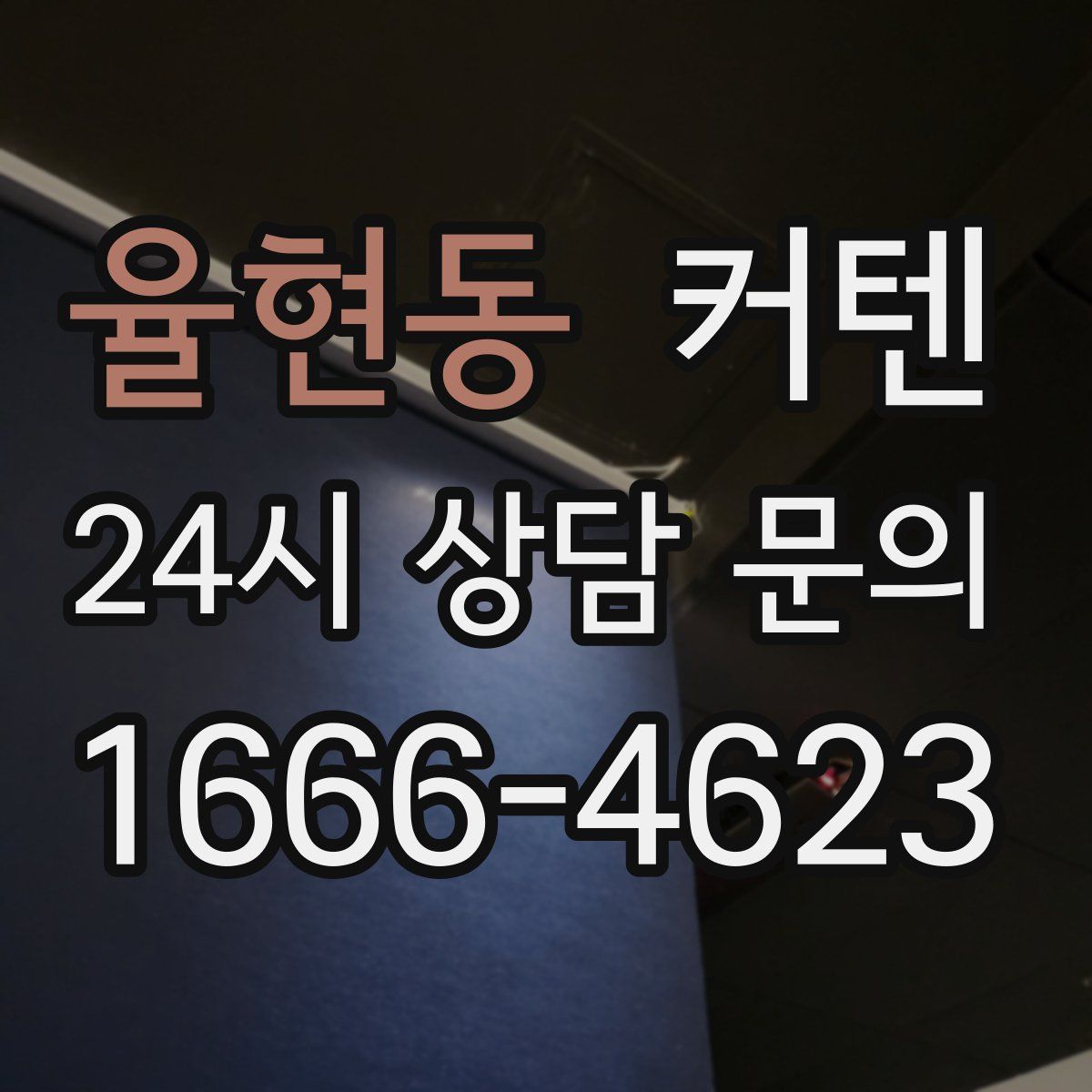 율현동 커텐