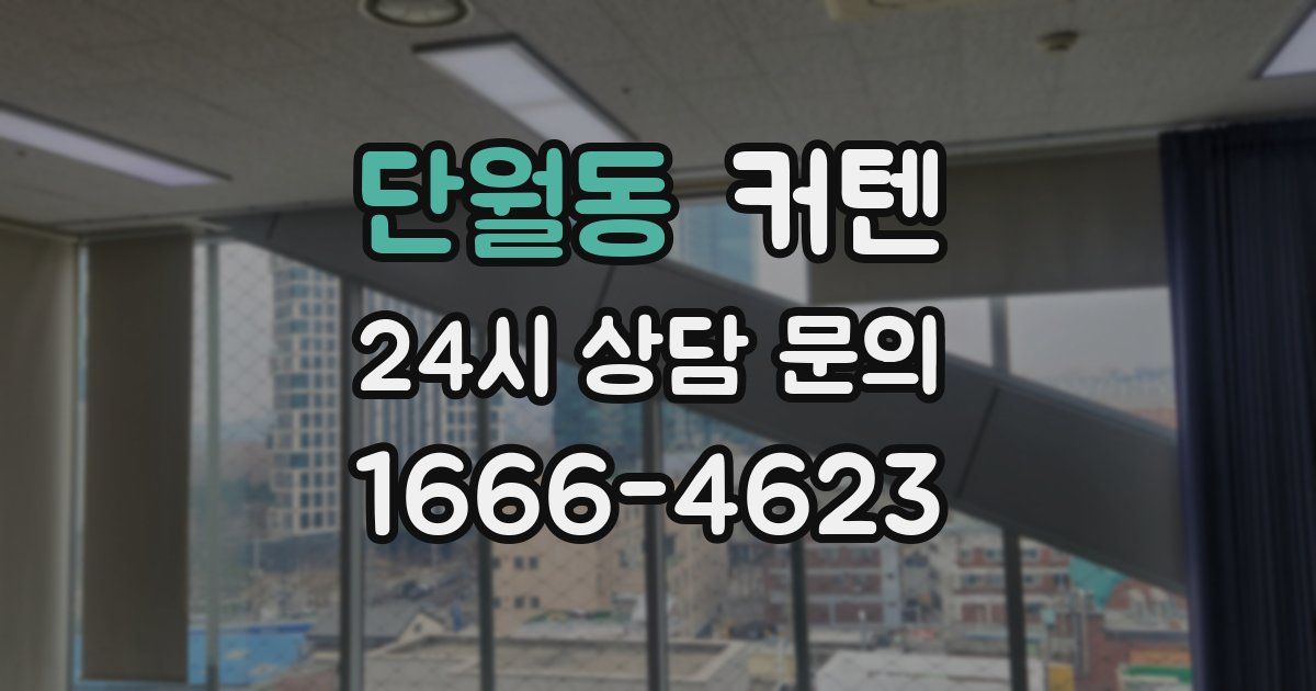 단월동 커텐