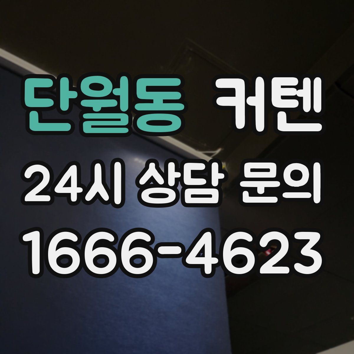 단월동 커텐