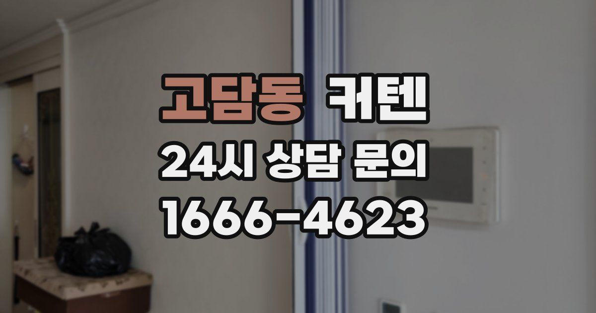 고담동 커텐