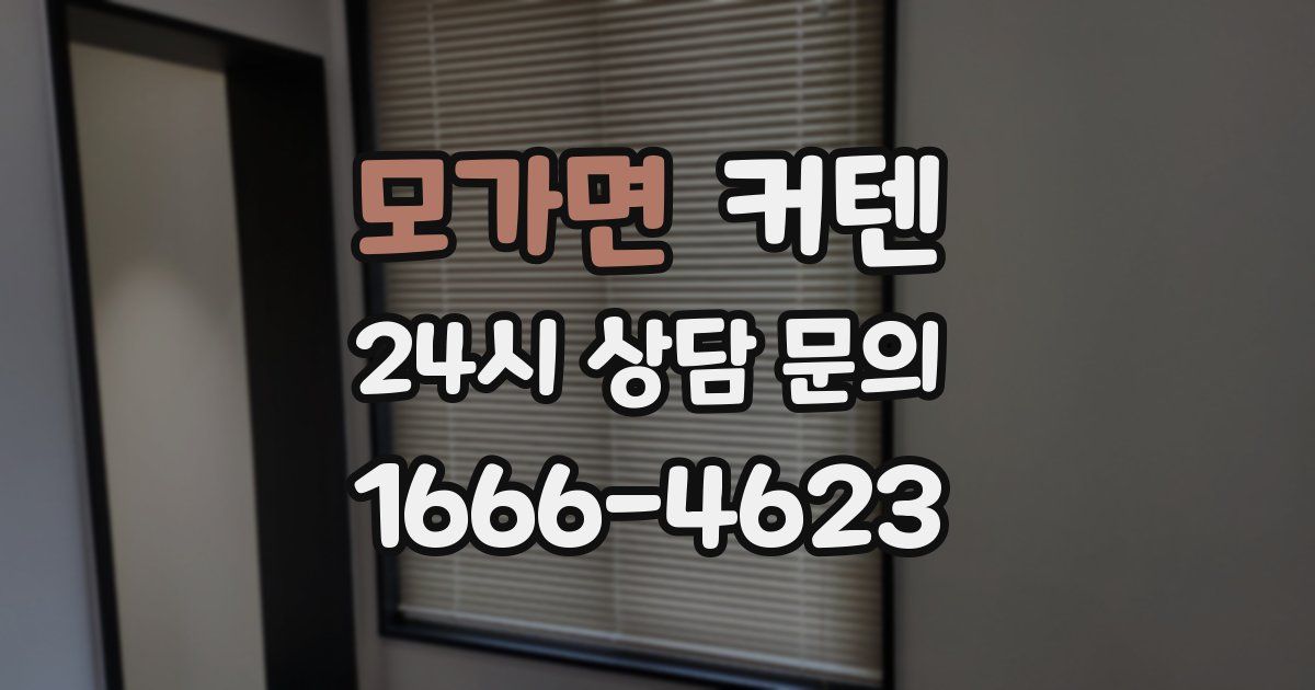 모가면 커텐