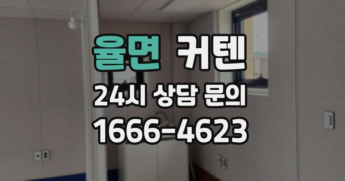 율면 커텐