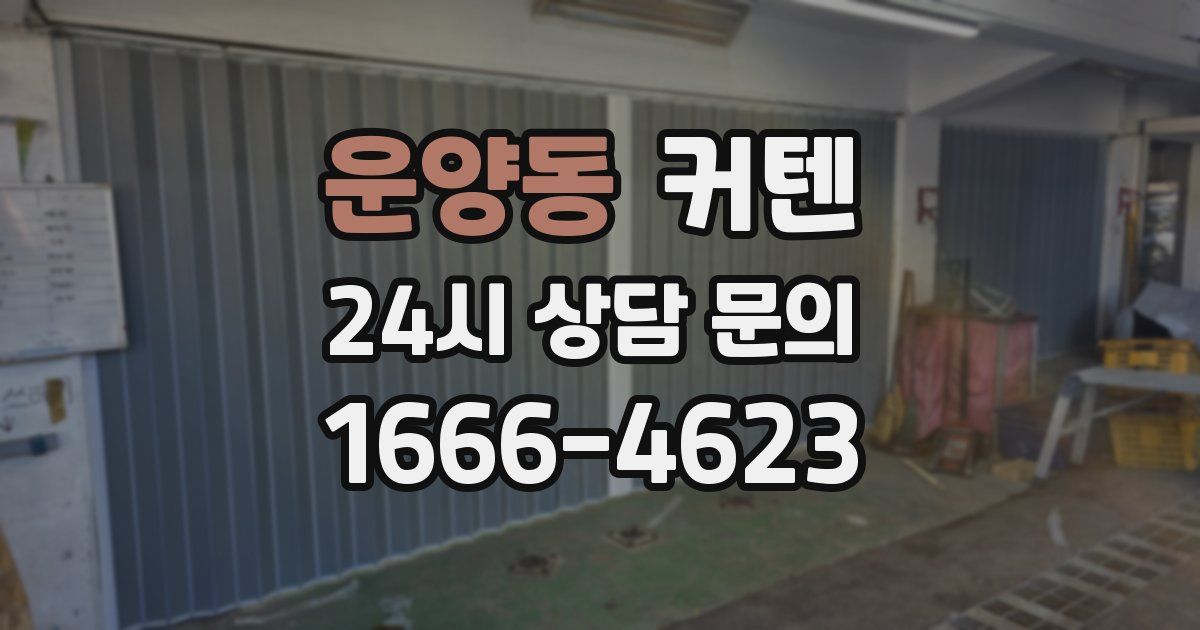 운양동 커텐