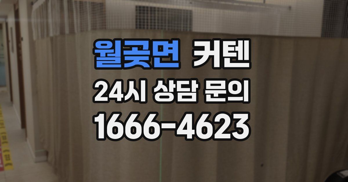 월곶면 커텐