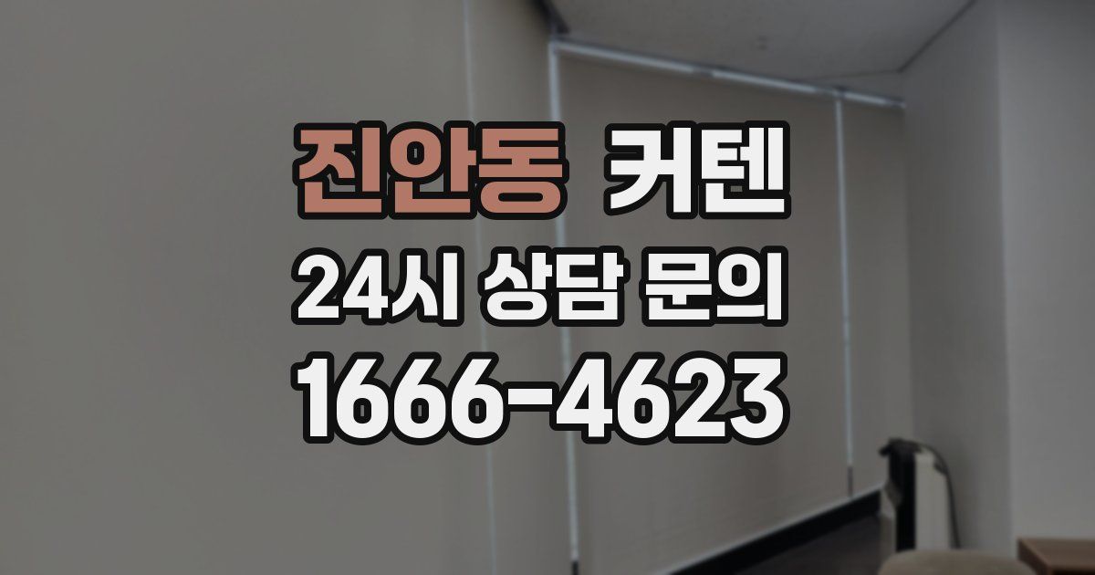 진안동 커텐