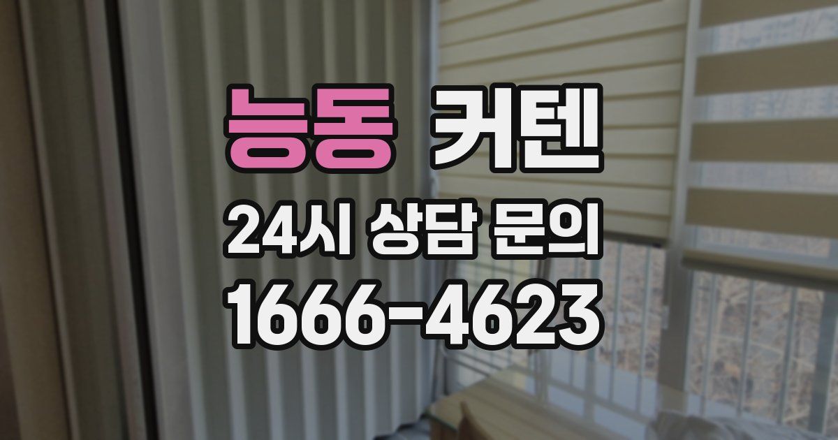 능동 커텐