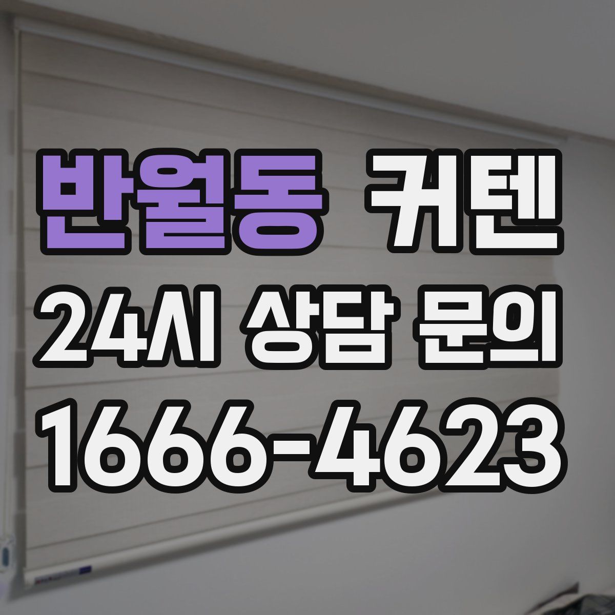 반월동 커텐