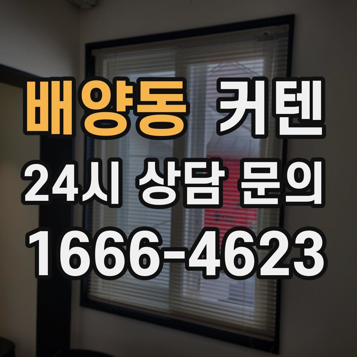 배양동 커텐