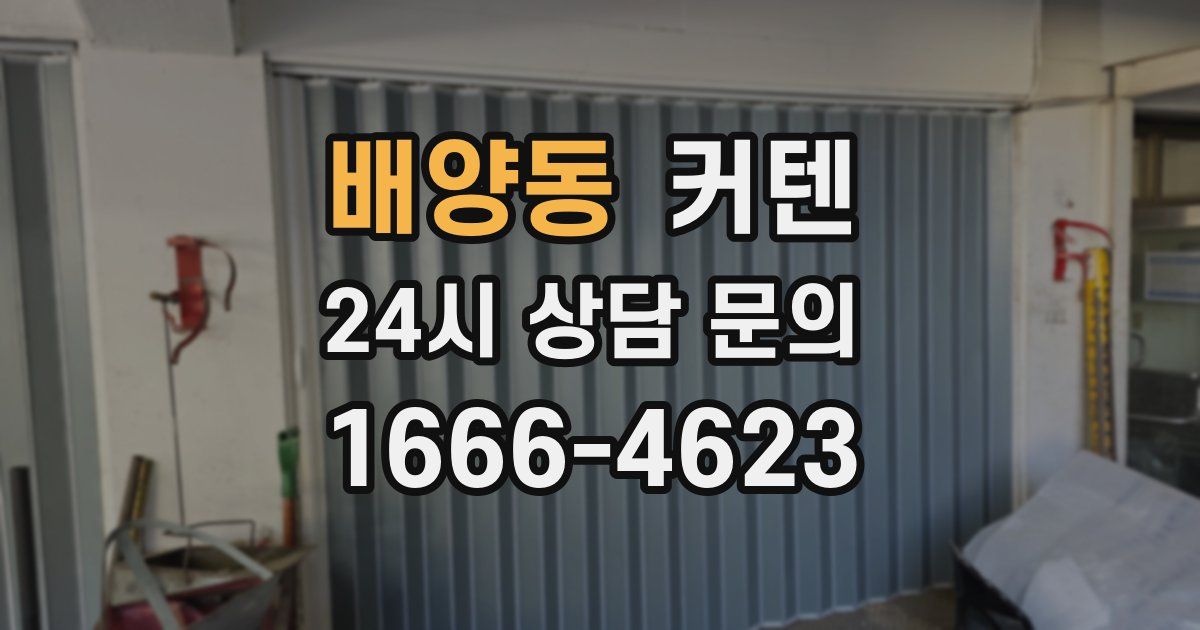 배양동 커텐