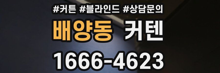 배양동 커텐
