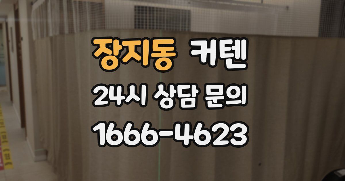 장지동 커텐
